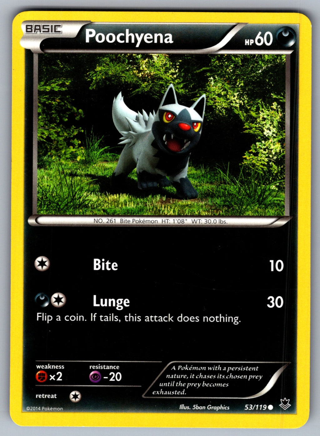 Poochyena Common XY - Phantom Forces 53/119 LP 2014
