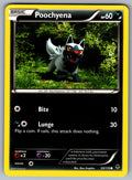Poochyena Common XY - Phantom Forces 53/119 LP 2014