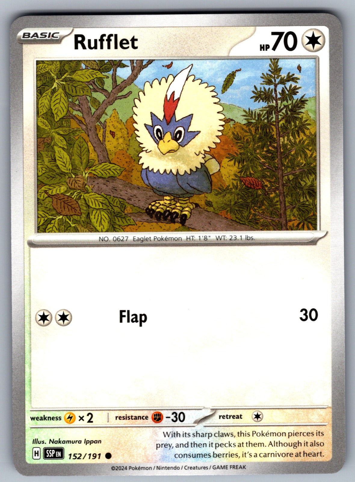 Rufflet Common SV08: Surging Sparks 152/191 NM 2024