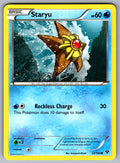 Staryu Common XY Base Set 33/146 LP 2014