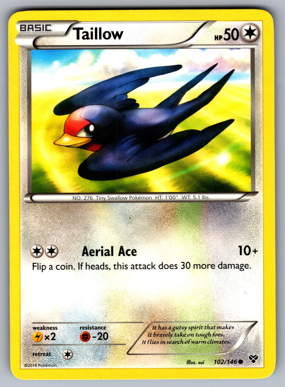 Taillow Common XY Base Set 102/146 LP 2014