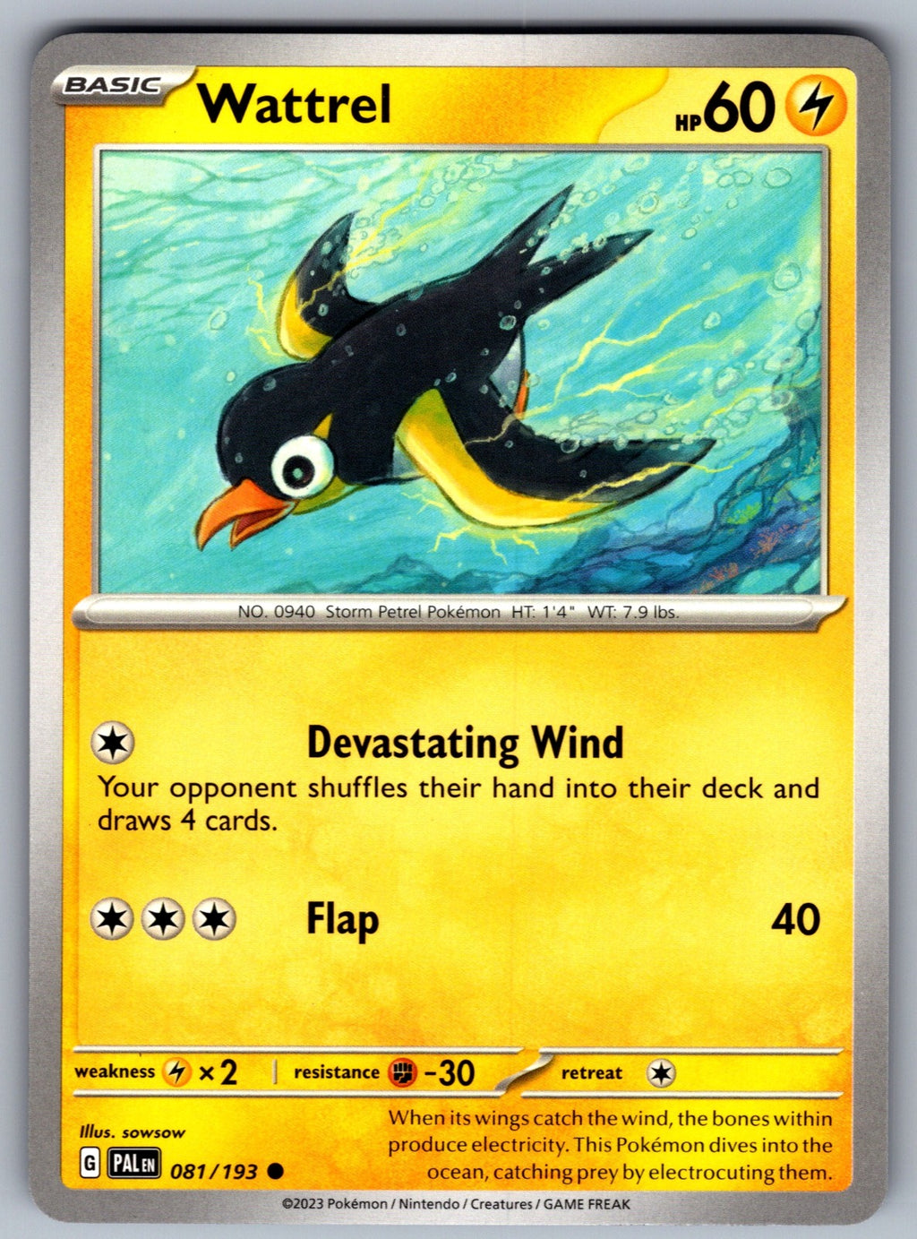 Wattrel Common SV02: Paldea Evolved 081/193 NM 2023