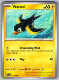 Wattrel Common SV02: Paldea Evolved 081/193 NM 2023