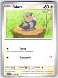 Pidove Common SV: Black Bolt 071/086 NM 2025