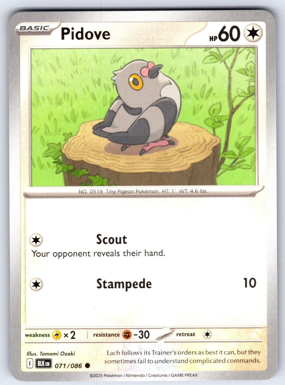 Pidove Common SV: Black Bolt 071/086 NM 2025