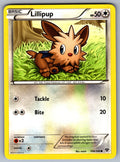 Lillipup Common XY Base Set 108/146 LP 2014