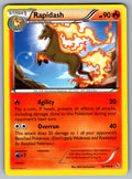 Rapidash Uncommon XY - Flashfire 15/106 LP 2014
