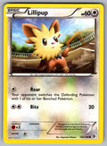 Lillipup Common Boundaries Crossed 120/149 LP 2012