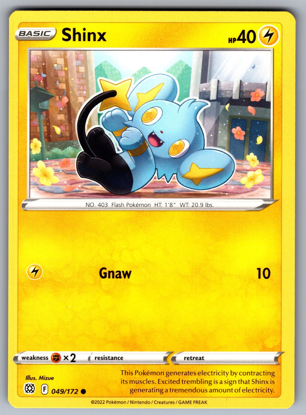 Shinx Common SWSH09: Brilliant Stars 049/172 NM 2022
