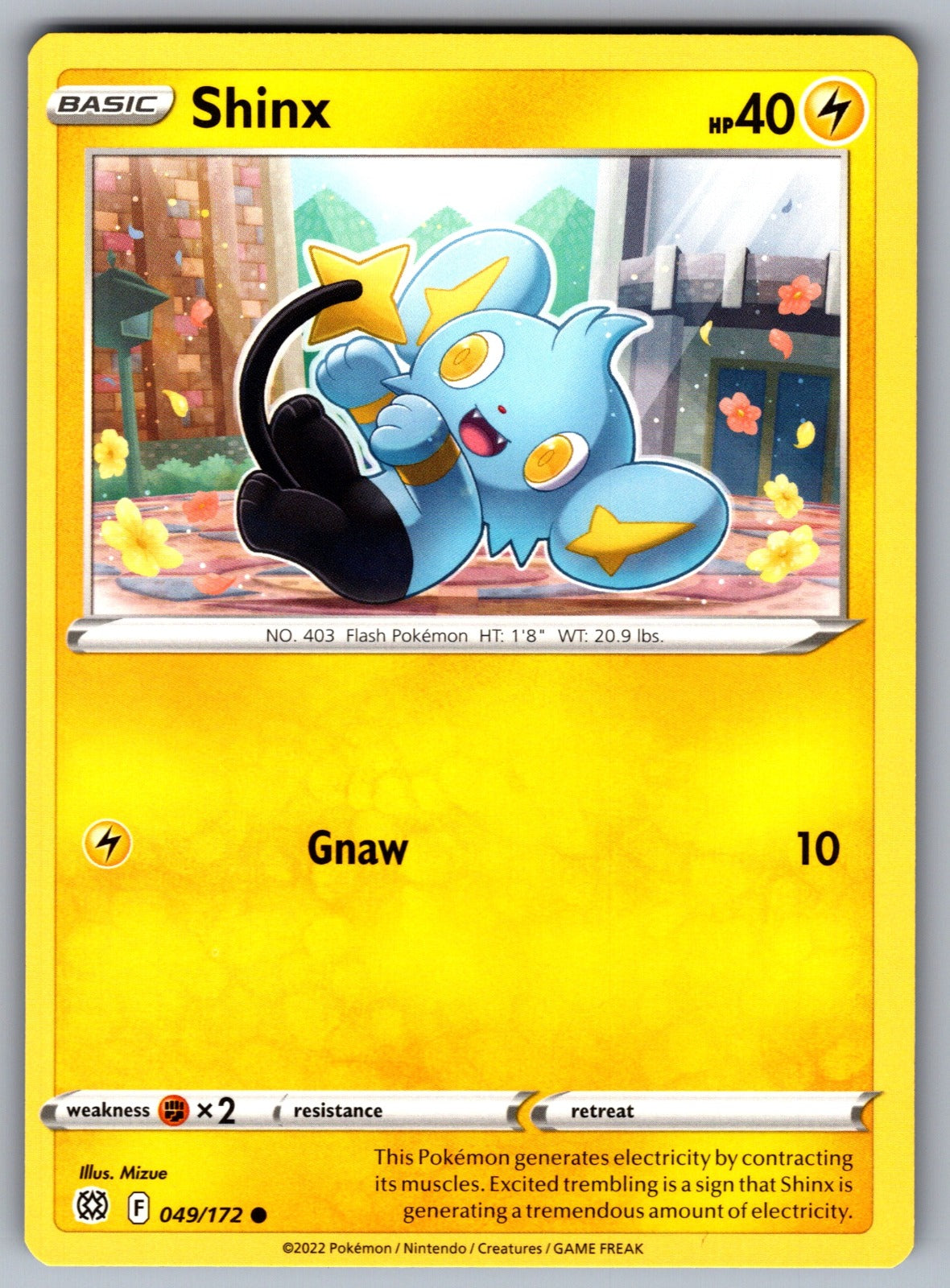 Shinx Common SWSH09: Brilliant Stars 049/172 NM 2022