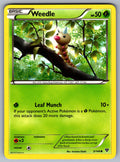 Weedle Common XY Base Set 3/146 LP 2014