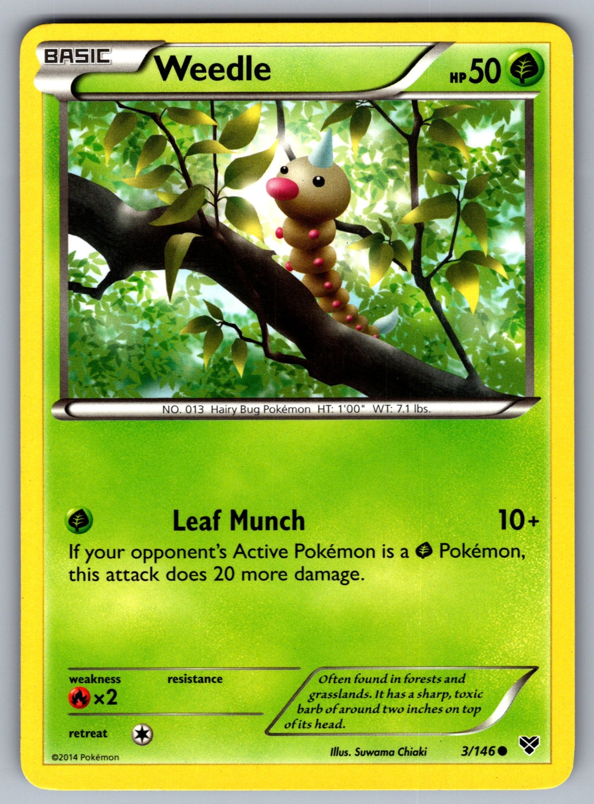 Weedle Common XY Base Set 3/146 LP 2014