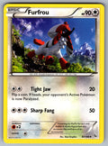 Furfrou Uncommon XY - Flashfire 87/106 LP 2014