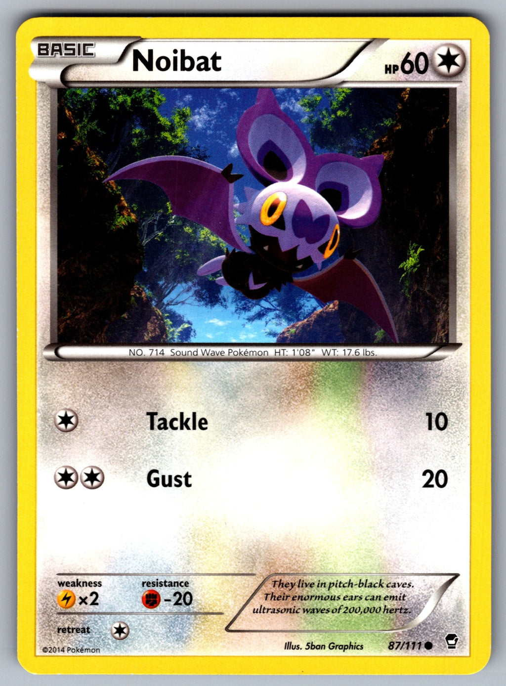 Noibat Common XY - Furious Fists 87/111 LP 2014