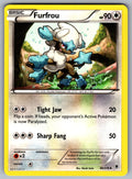 Furfrou Uncommon XY - Phantom Forces 90/119 LP 2014