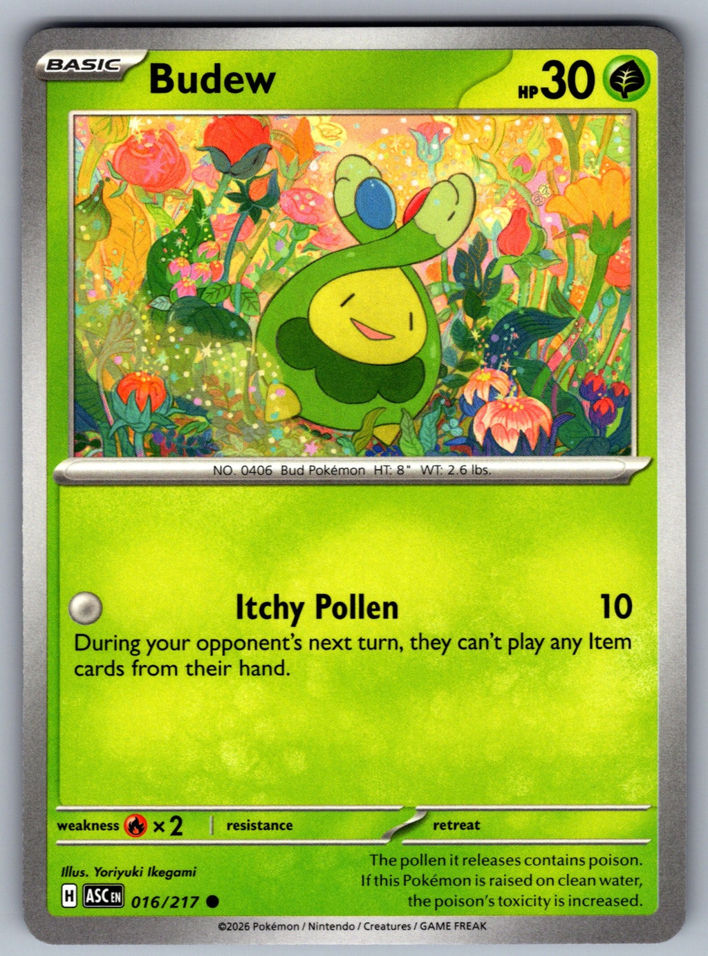 Budew Common ME: Ascended Heroes 016/217 NM 2026
