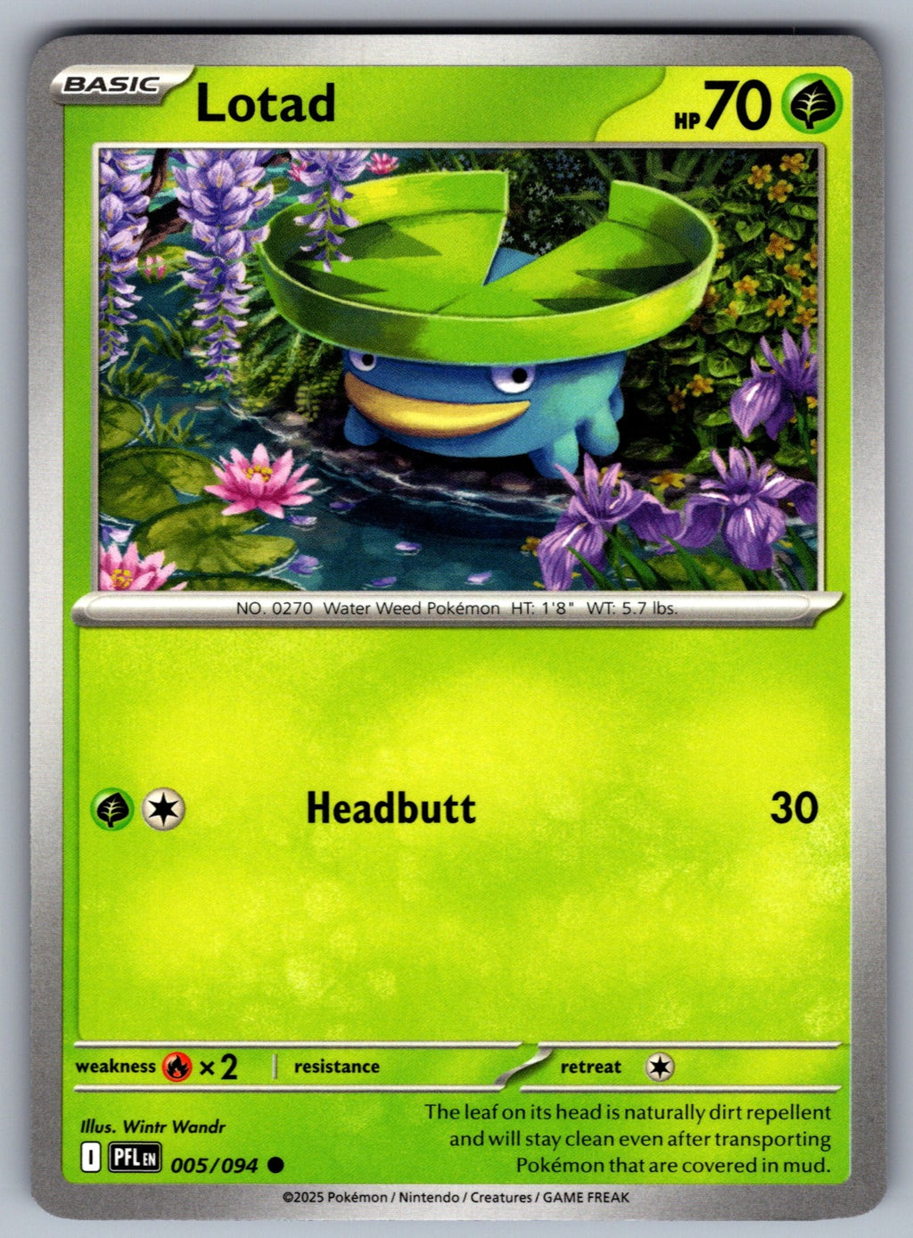 Lotad Common ME02: Phantasmal Flames 005/094 NM 2025