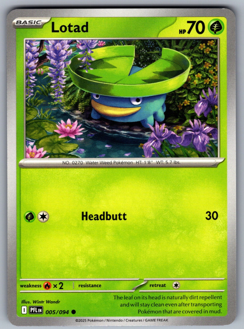 Lotad Common ME02: Phantasmal Flames 005/094 NM 2025