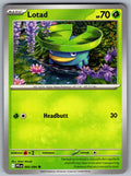 Lotad Common ME02: Phantasmal Flames 005/094 NM 2025