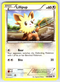 Lillipup Common Boundaries Crossed 120/149 LP 2012
