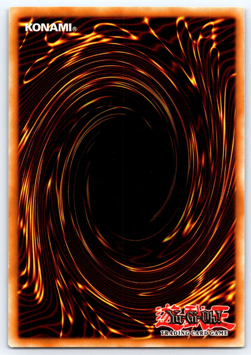 Black Rose Dragon 1st Edition Common Legendary Collection 5D's LC5D-EN099 NM 201 (Back)