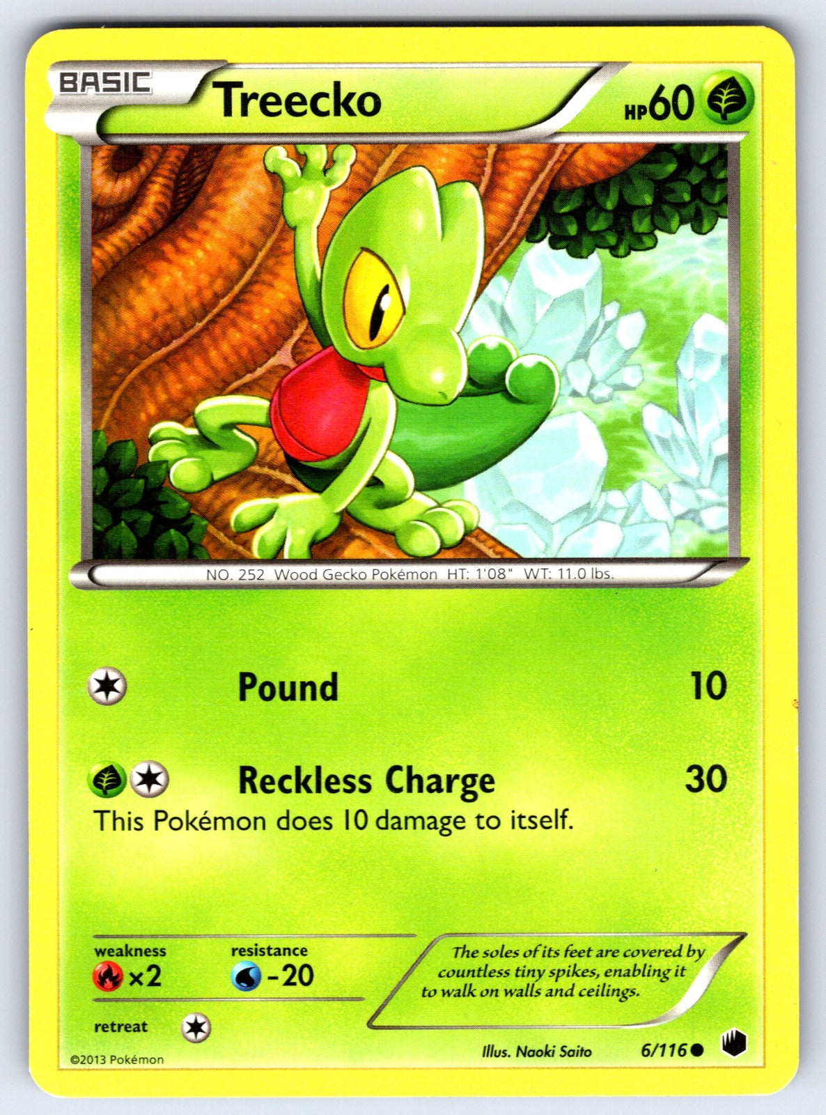Treecko Common Plasma Freeze 6/116 LP 2013