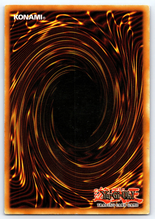 Black Luster Soldier 1st Edition Rare Duelist Pack: Yugi DPYG-EN017 NM 2009 (Back)