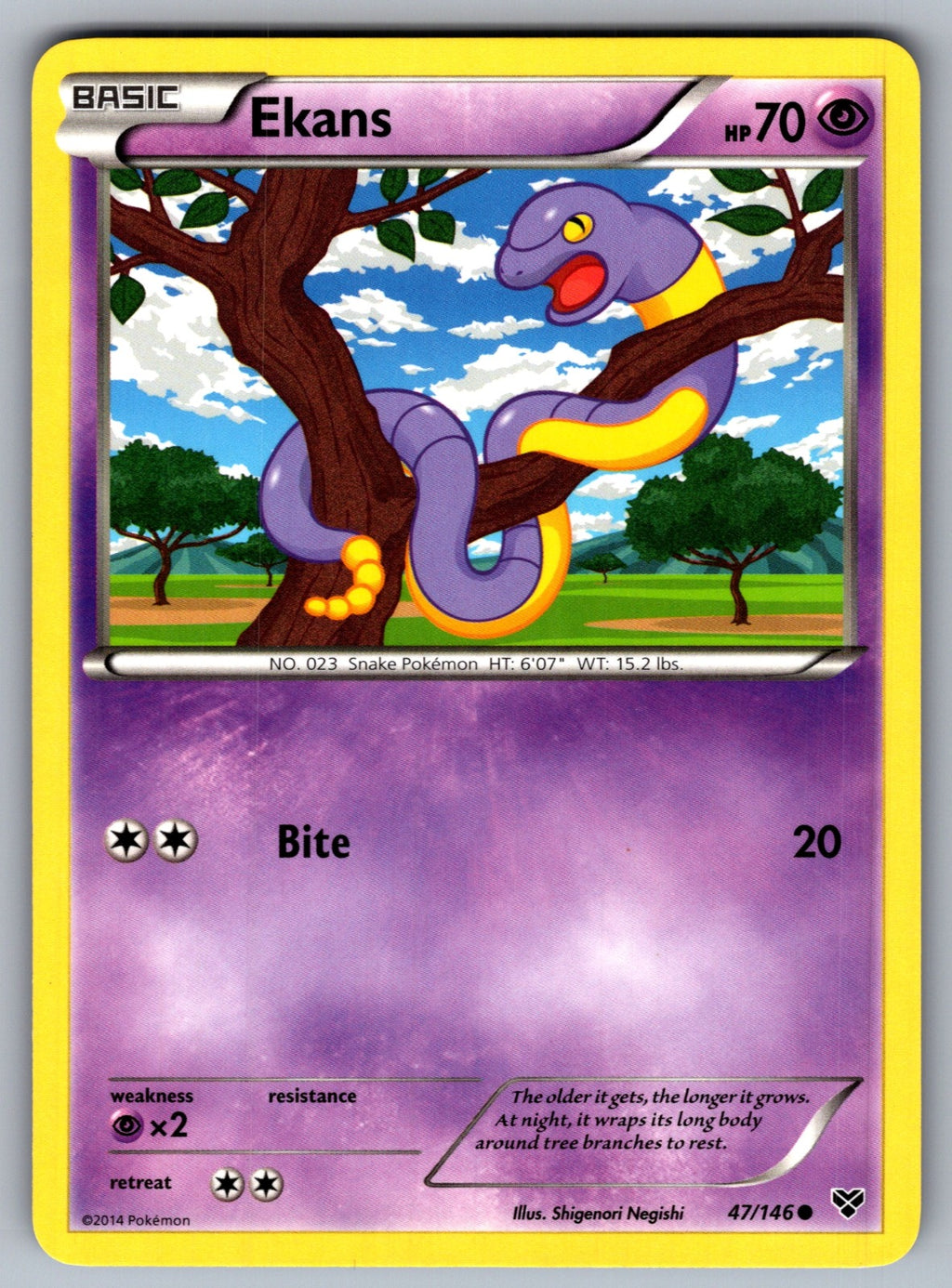 Ekans Common XY Base Set 47/146 LP 2014