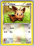 Lillipup Common XY Base Set 108/146 LP 2014