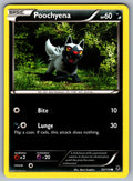 Poochyena Common XY - Phantom Forces 53/119 LP 2014