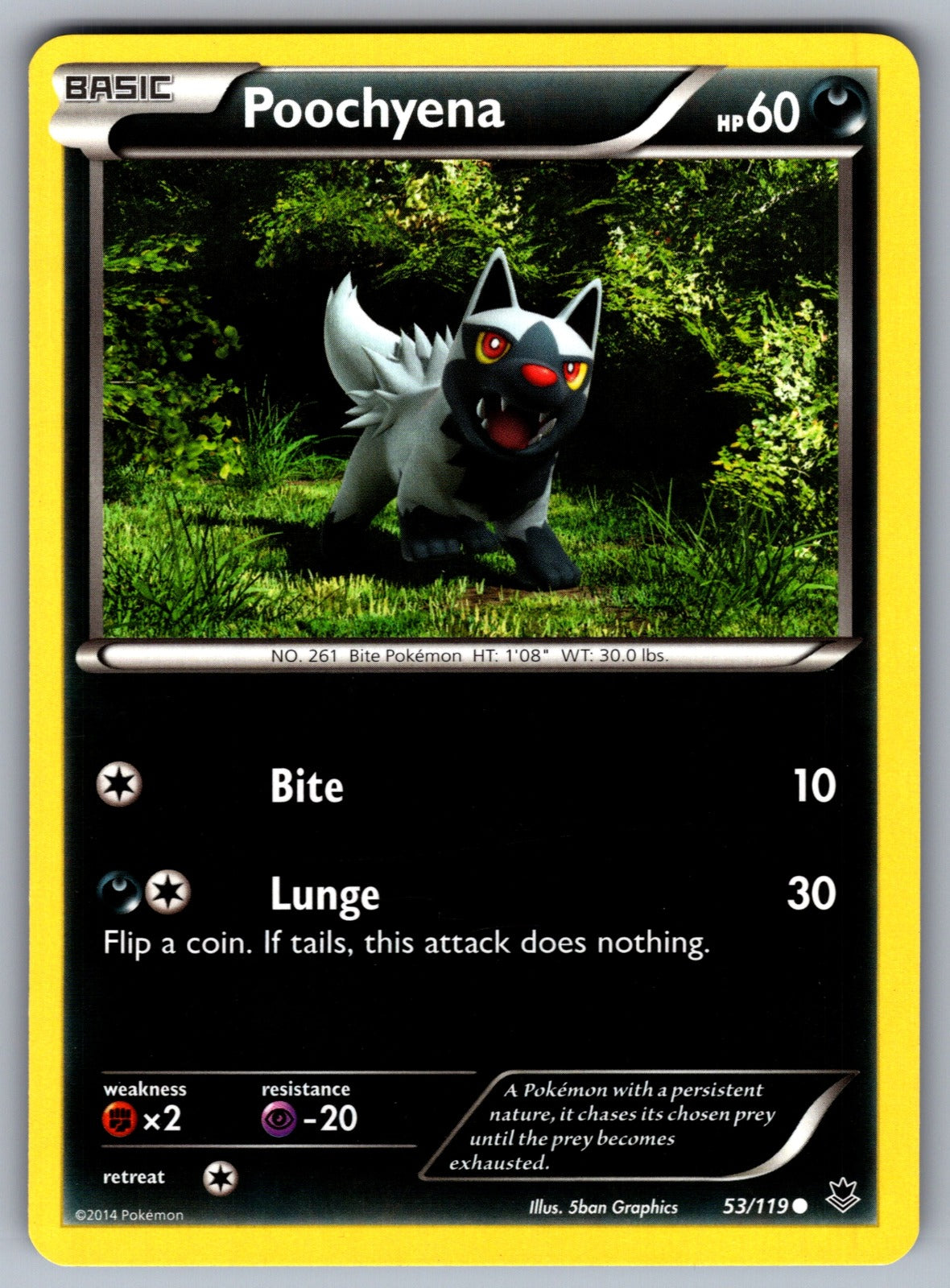 Poochyena Common XY - Phantom Forces 53/119 LP 2014
