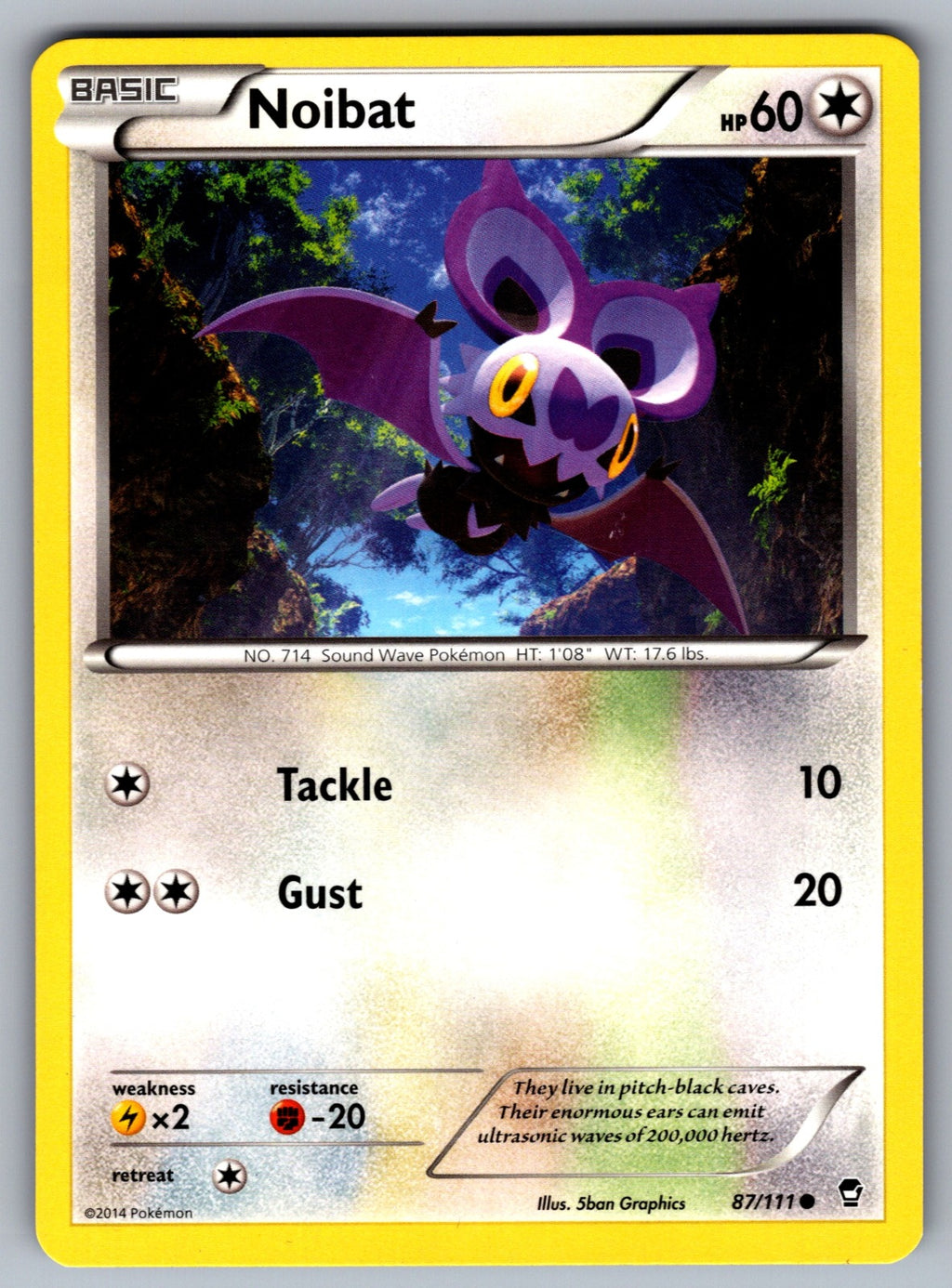 Noibat Common XY - Furious Fists 87/111 LP 2014