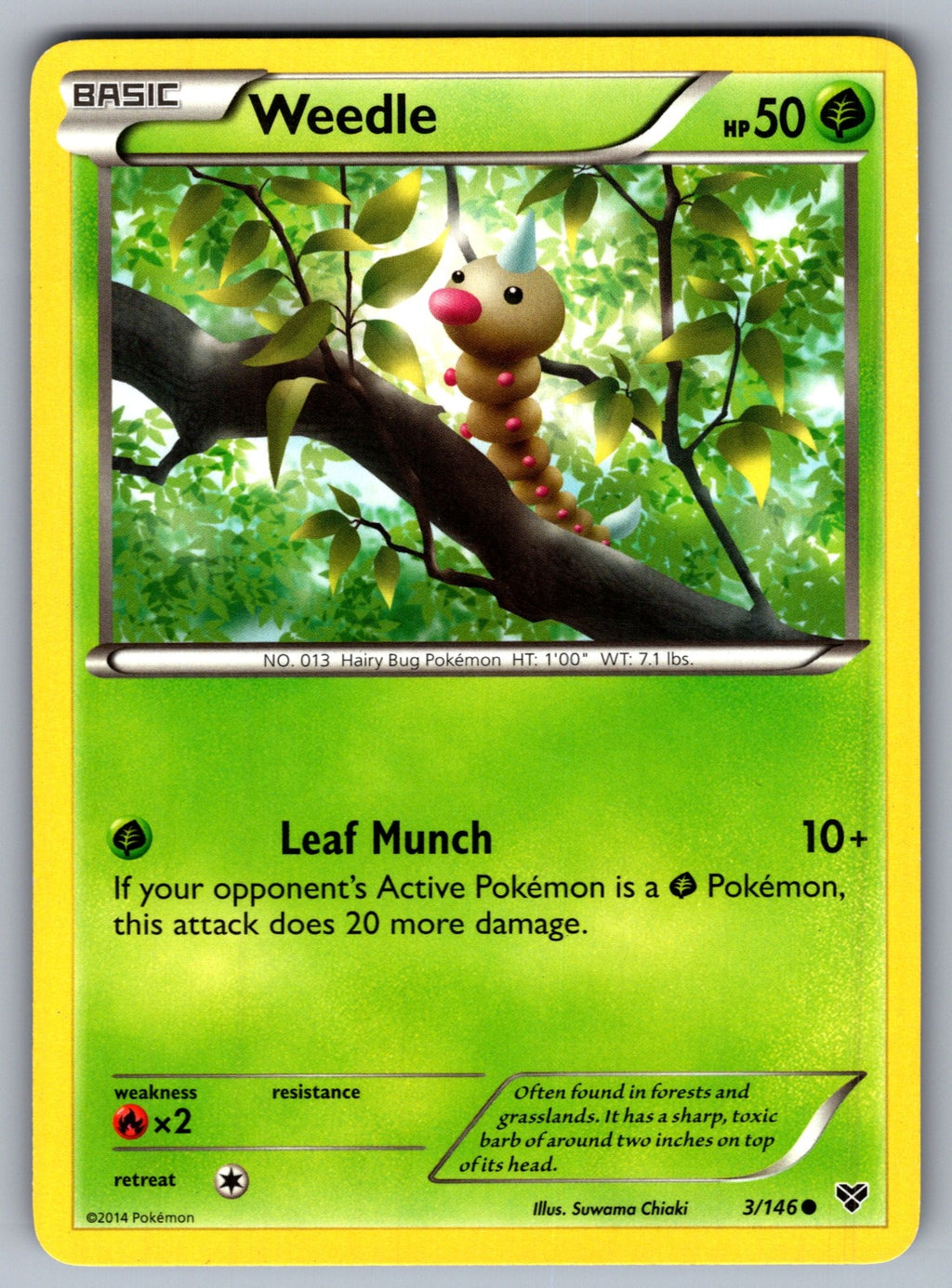 Weedle Common XY Base Set 3/146 LP 2014