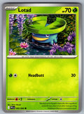 Lotad Common ME02: Phantasmal Flames 005/094 NM 2025
