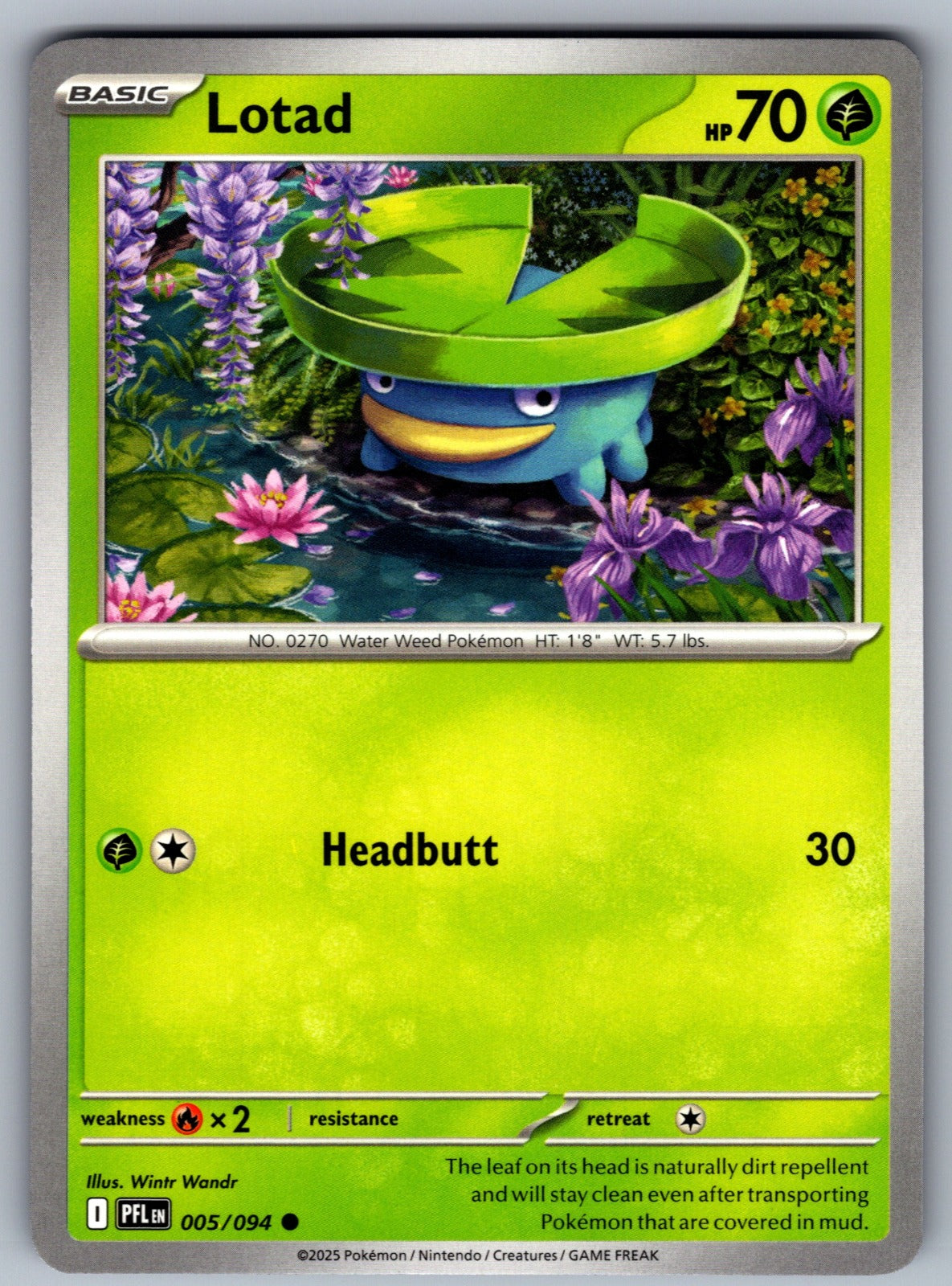 Lotad Common ME02: Phantasmal Flames 005/094 NM 2025