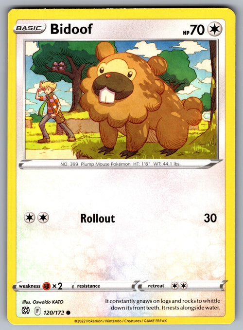 Bidoof Common SWSH09: Brilliant Stars 120/172 NM 2022
