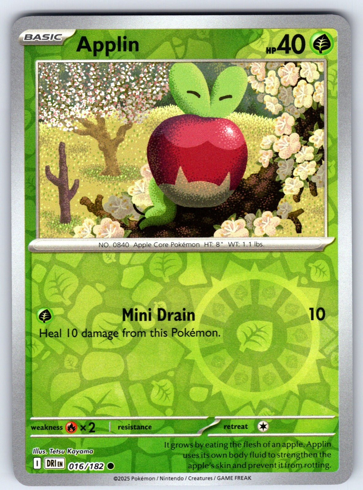 Applin Reverse Holo Common SV10: Destined Rivals 016/182 NM 2025