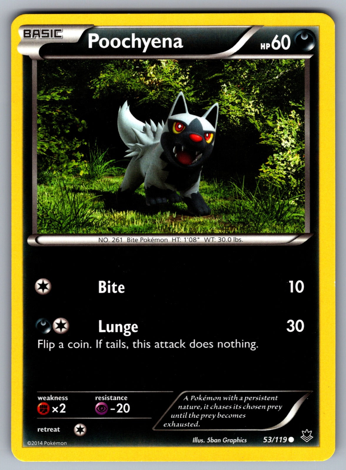 Poochyena Common XY - Phantom Forces 53/119 LP 2014