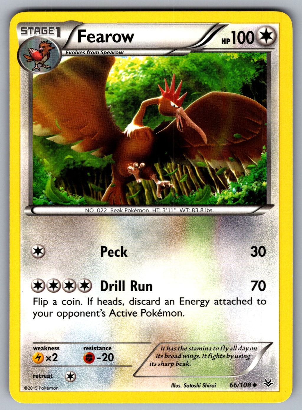 Fearow Uncommon XY - Roaring Skies 66/108 LP 2015