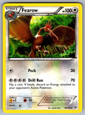 Fearow Uncommon XY - Roaring Skies 66/108 LP 2015