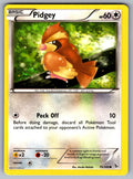 Pidgey Common XY - Flashfire 75/106 LP 2014