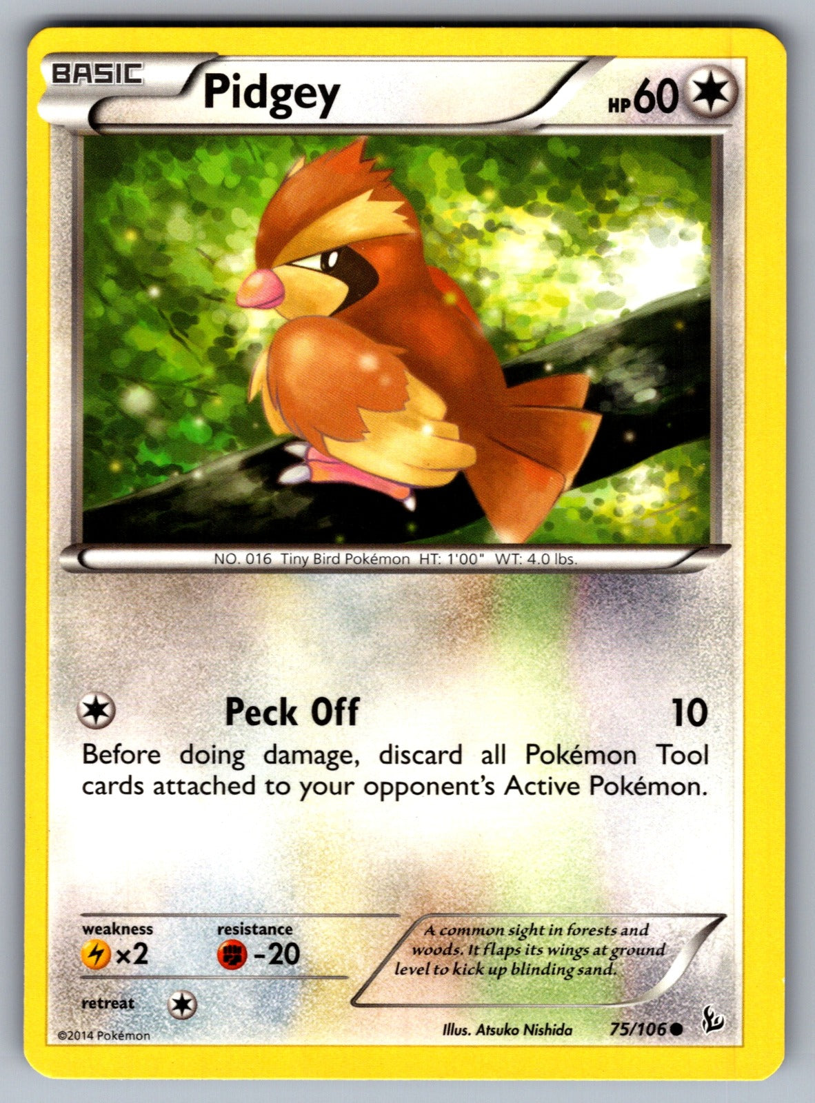 Pidgey Common XY - Flashfire 75/106 LP 2014