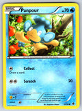 Panpour Common Emerging Powers 22/98 LP 2011
