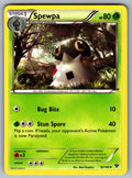 Spewpa Uncommon XY Base Set 16/146 LP 2014