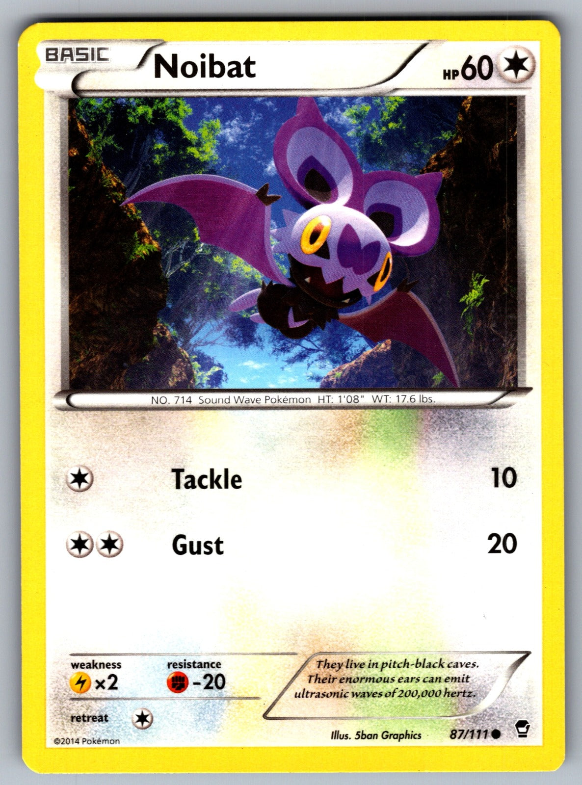 Noibat Common XY - Furious Fists 87/111 LP 2014