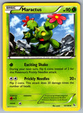 Maractus Uncommon XY - Flashfire 10/106 LP 2014