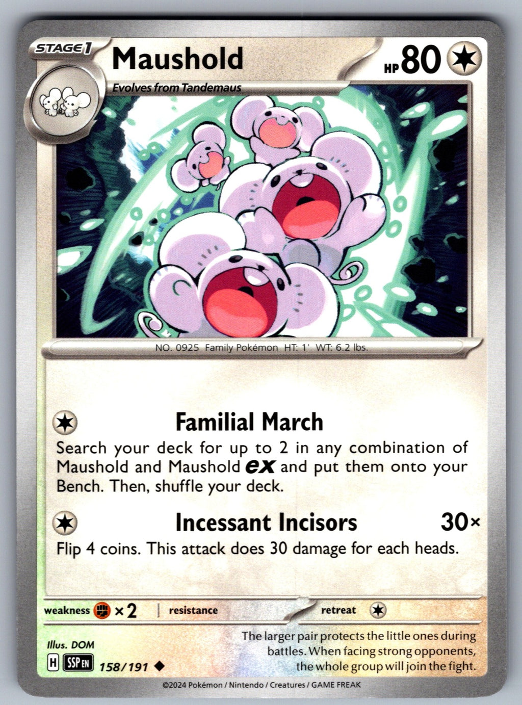 Maushold Uncommon SV08: Surging Sparks 158/191 NM 2024