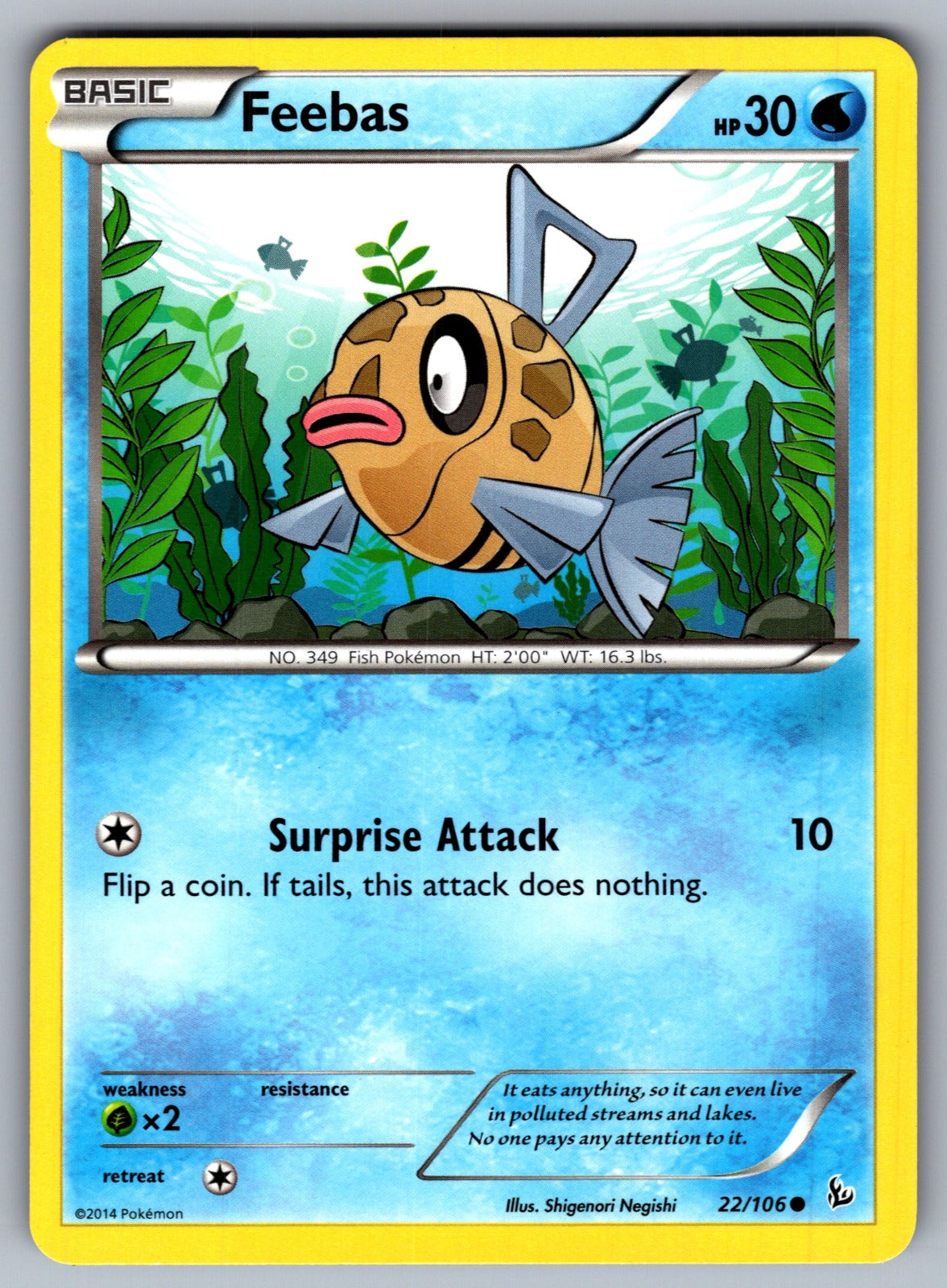 Feebas Common XY - Flashfire 22/106 LP 2014