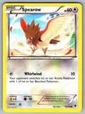 Spearow Common XY - Phantom Forces 78/119 LP 2014