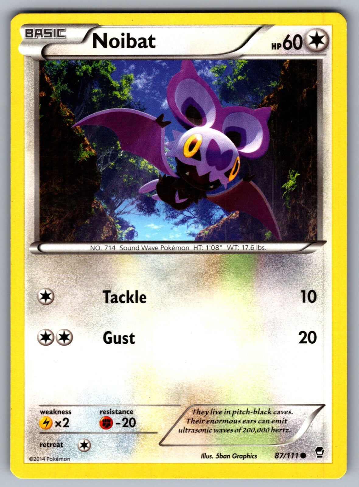 Noibat Common XY - Furious Fists 87/111 LP 2014